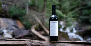 Bottle of Lost Peak wine in a wilderness setting